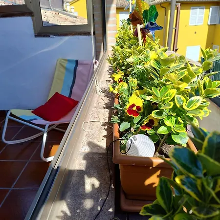 La Casa Di Mi Ma Apartament Parma